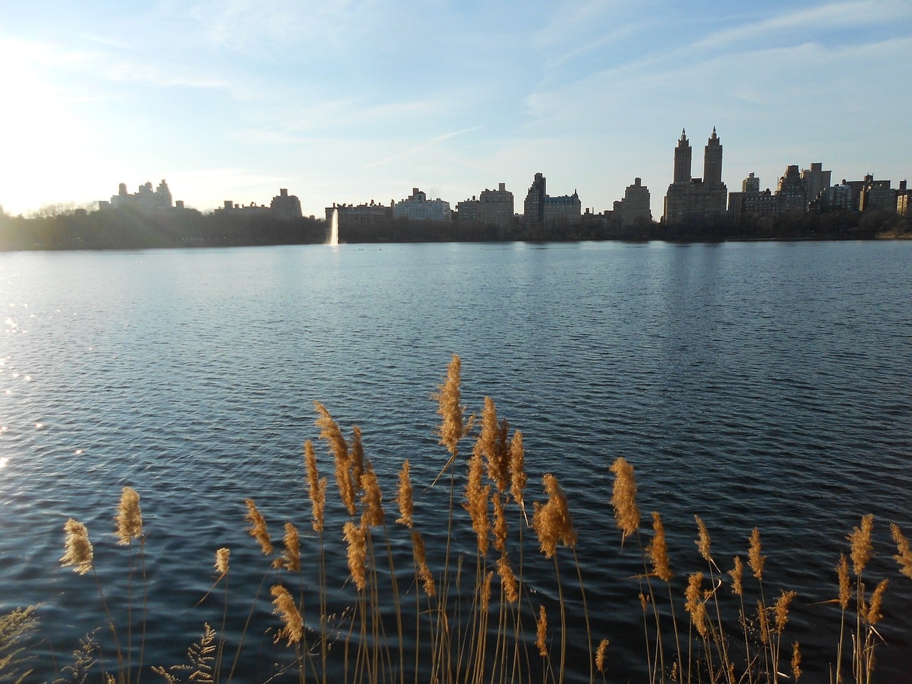 Photo by ColourPhotography new york, nature, manhattan