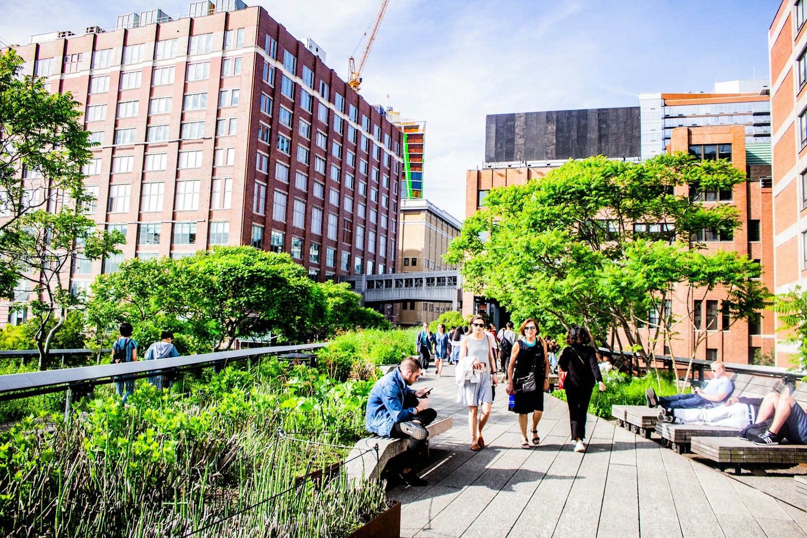 Parc urbain animé avec promeneurs et bâtiments modernes.