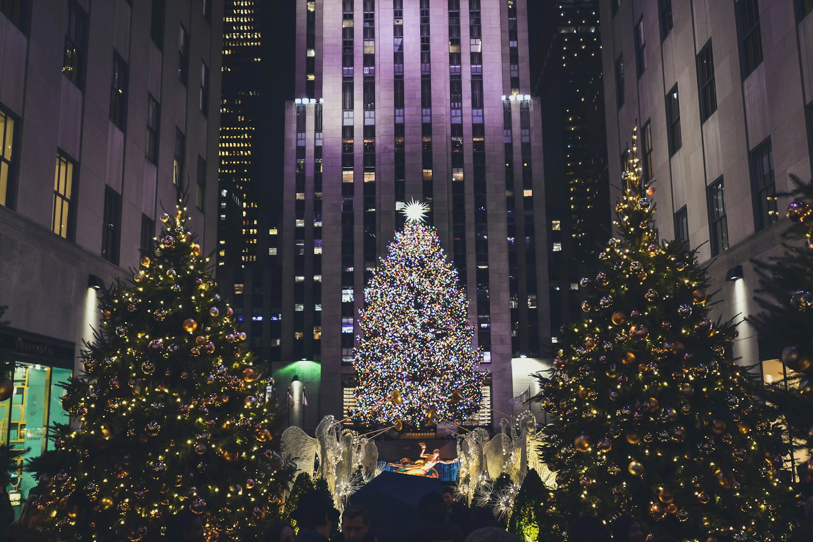 Photo by Alex Haney lighted Christmas trees